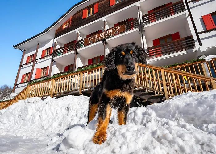 Hotel Residence Valverde